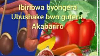 Ibiribwa byongera ubushake bwo gutera akabariro ku bagabo  viyagara gakondo [upl. by Aleek]