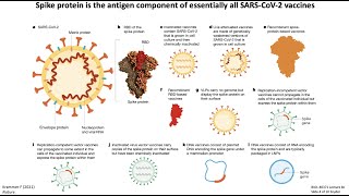 Lecture 8c SARSCoV2 Vaccines [upl. by Daveda]