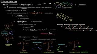 Collagen Structure free sample [upl. by Atela]