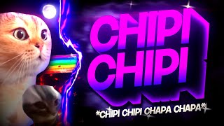 BEAT CHIPI CHIPI CHAPA CHAPA  Gatinho Viral  Tiktok FUNK REMIX by Canal Sr Nescau [upl. by Verla]