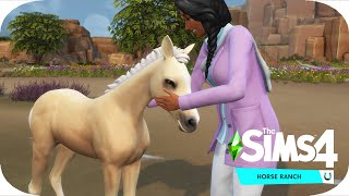 A foal is born  The Sims 4 Horse Ranch  6 [upl. by Barry]