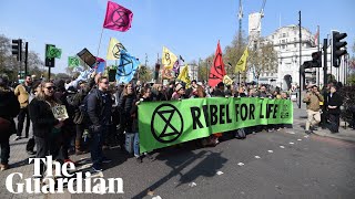 Extinction Rebellion demonstreert weer op A12 [upl. by Witt]