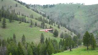 Piper Pacer Takeoff Mile Hi Idaho Backcountry [upl. by Rengaw]