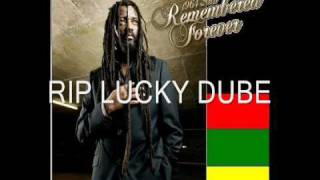 Lucky Dube  Nobody Can Stop Reggae [upl. by Ytsirhk312]