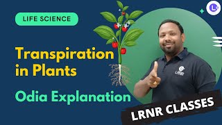 Transpiration in Plants  Odia Explanation  Life Science  LRNR Classes [upl. by Lou327]