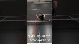 도끼 서브 Tomahawk Serve [upl. by Yrrek651]