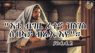 quotእቲ ብግዜ ፈተና ዝዕገስ ሰብኣይ ብጹእ እዩquot። ያዕ፥112 መንፈሳዊ ስብከት ብ መርጌታ ኤፍሬም Eritrean Orthodox sbket [upl. by Hgielyak451]