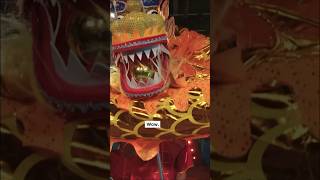 All about Dragon Dance amp learn to do the wave 🐉 [upl. by Wieren]