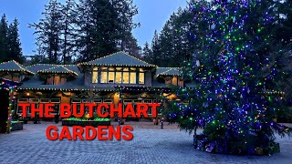 The Butchart Gardens Victoria BC  Christmas Lights and Afternoon Tea [upl. by Nauqahs]