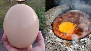 Ostrich egg with minced meatballs and tomato [upl. by Asiulairam]