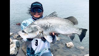 causeway salt barra  Yeppoon fishing  causeway bridge  ang daming isda mga master [upl. by Pfosi]