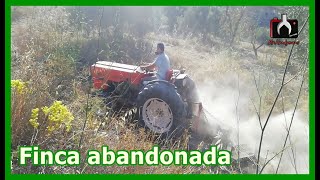 DESBROZANDO CON UN BARREIROS 4000V  Finca abandonada 3 años [upl. by Frank]