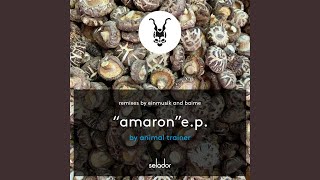 Amaron Einmusik Remix [upl. by Cox]