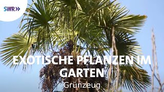 Kakteen und Palmen  Exoten im Garten  SWR Grünzeug [upl. by Larochelle680]