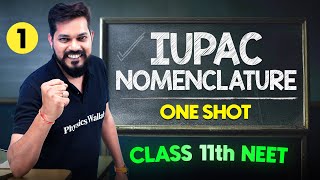 IUPAC Nomenclature  Complete Chapter in One Video  ConceptsPYQs  Class 11th NEET [upl. by Noremak]