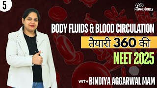 Body fluids and ciculation  ECG Double CIRCULATION  NEET 25  Part 3  Selection जरुरी है। [upl. by Innor349]