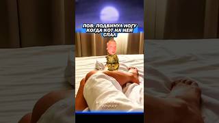 morty питбайк морти компотик skibiditoilet скибидитуалет tiktok тикток memes мем [upl. by Naletak13]