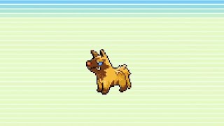 🌟 Shiny Poochyena evolutions  Pokemon Emerald Pokedex No 010  011 [upl. by Travis992]