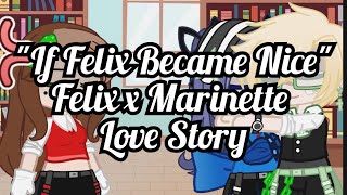 quotIf Felix Became Nicequot Miraculous Ladybug AU Felix x Marinette Episode 1 Song Muted [upl. by Henrion410]