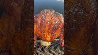 Beer Can Chicken on a Pellet Grill beercanchicken bbqnation bbq bbqchicken pelletgrill [upl. by Wardieu]