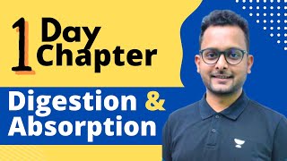 Digestion amp Absorption  One Shot  अंतिम युद्ध 20  NEET 2022  Baibhav Kumar [upl. by Atikaj]