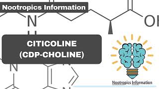 Citicoline amp CDPcholine  Nootropics Information [upl. by Aitenev733]