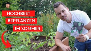 Hochbeet bepflanzen im Sommer  Juni Juli August das kann jetzt rein [upl. by Eisdnil]