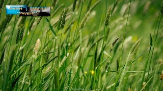 4K Wunderschöne Landschaft mit Musik [upl. by Nichole]