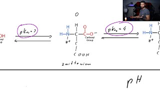 Isoelectric point of Amino Acids and Proteins  Zwitterion Net charge Table [upl. by Groome71]