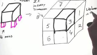 Structure and Function Allometry and Scaling [upl. by Nilats323]