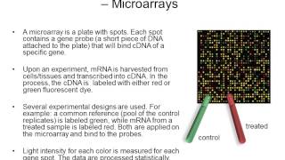 A Guide to NCBI Gene Expression Part 2 [upl. by Mell315]