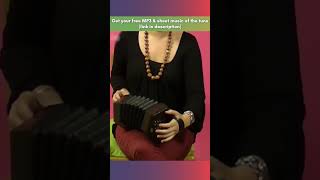 Beginner Concertina Lesson 3 🏅 EASY Scale of D [upl. by Bianka978]