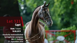 Auktionsfestival Lot 123 Capri Stute v Cornet de Semilly  Lord Weingart [upl. by Pepper]