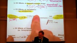 AUTONOMIC DRUGS PART 2 Epinephrine amp Dosage Calculations by Professor Fink [upl. by Gregorio630]