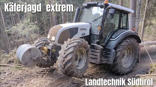 🌲 Forstarbeit 2023 🌲⚠️Käferjagd Extrem ⚠️ [upl. by Atlas]