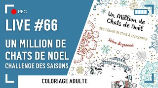 LIVE 66  Un million de chats de Noël  challenge des saisons CWM [upl. by Grinnell536]