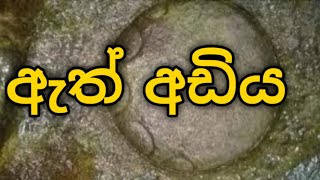 nidan salaku නිධන් සලකුනු ඇත් අඩිය [upl. by Leora]