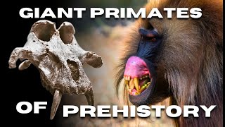 Giant primates of prehistory [upl. by Chobot]