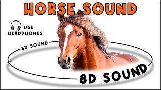 HORSE SOUND  HORSE SOUND EFFECT  NOISE OF HORSE  animal sound [upl. by Berton]