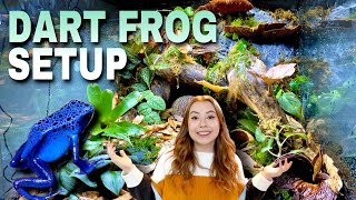 Setting Up My Poison Dart Frog Enclosure Dart Frog Journey Part 4 [upl. by Hardman622]