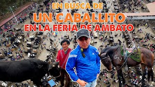 FERIA GANADERA 🐄 DE AMBATO CON LOS WAWAS CHAGRAS TUNGURAHUA I GEO LEMAI [upl. by Jaquelyn]