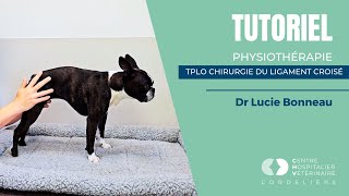 Physiothérapie pour TPLO [upl. by Ravaj]