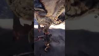 MHW LEGIANA legiana mhw mhworld mhw2024 monsterhunter monsterhunterworld monsterhunt [upl. by Yahsed]