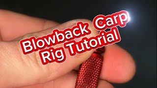 Blowback carp rig tutorial [upl. by Asseneg47]