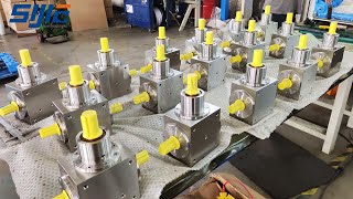 Right angle stainless steel Bevel Gearbox for Servo Motor [upl. by Kroy]