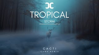 CaWa Cacti  Tropical Storm Remix [upl. by Enelegna]