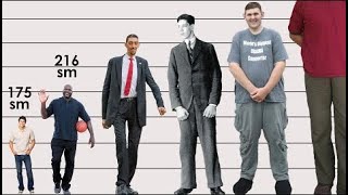 Height COMPARISON Tallest People in the WORLD [upl. by Ellednek]