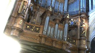 Concert Orgue SaintOmer [upl. by Ameer425]