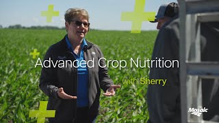 Advanced Crop Nutrition With Sherry  Episode 7 Teaser [upl. by Qerat168]