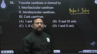 Vascular cambium is formed by I Interfascicular cambium II Intrafascicular cambium III Cork [upl. by Hawger]